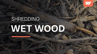 Shredding of wet wood with WEIMA WLK 1500