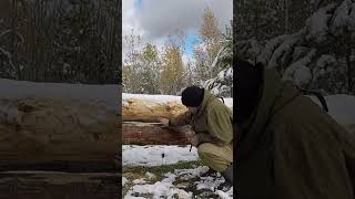 A log cabin built by one man moving heavy logs 32 #shorts