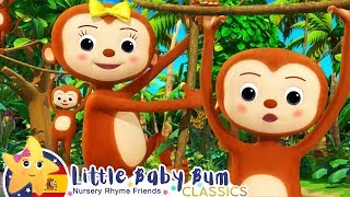 Canciones Infantiles | 5 Monitos en un Árbol | Dibujos Animados | Little Baby Bum en Español
