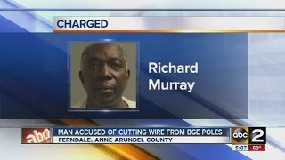 Man accused of cutting wires from BGE poles