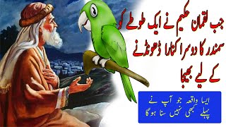 Luqman Haqeem |  Aur Totey ka waqaya | History off Hakeem Luqman and Perrot find to Next Sea