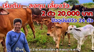 เริ่มต้น…ลงทุนเลี้ยงวัว 2 ตัว 20,000บาท ปัจจุบันมีวัว 24 ตัว | พี่โนช ม.2 ต.ยกกระบัตร อ.สามเงา จ.ตาก