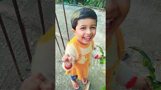 আরিশা গাছের সব পাতা ছিড়ে নিলো#youtubevideo #bangladesh