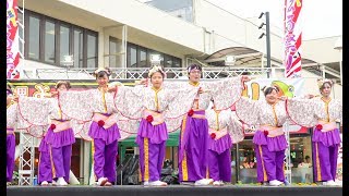 [4K]貝塚よさこい「舞人」　堺よさこいかえる祭り2017 いずみがおか広場会場（中央）