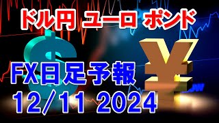 FXデイリー日足予報　　　2024年12月11日