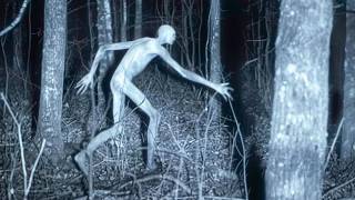 Disturbing Creatures Caught On Trail Cams In 2024