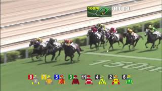 [2014 馬季開鑼]「金滿載」勝出2014特首盃 (1200米)