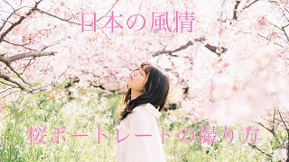 【桜ポートレートの撮り方】日本の風情「桜」ポートレートの撮り方。【撮影レクチャー】