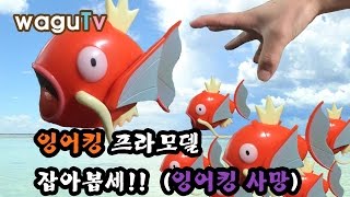 포켓몬스터 잉어킹 프라모델도 만들고 헤엄도 시켜보자! (잉어킹 사망) [와구테레비]