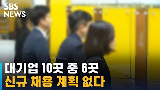 대기업 10곳 중 6곳 신규 채용 계획 없다 / SBS