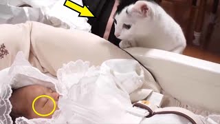 The mother screamed in horror when she saw what the cat was doing to the child!