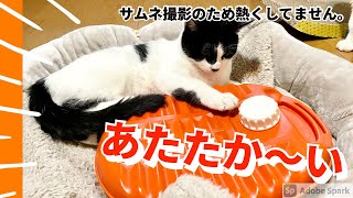 【猫動画】猫の寒さ対策 第3弾 電気を使わない湯たんぽ編 あたたか～い！【iPhone12Proで撮影】