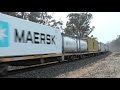 g520 xr558 bl31 on 7901v emerge out the fog near dunolly. 13 06 20. 08.05.46.