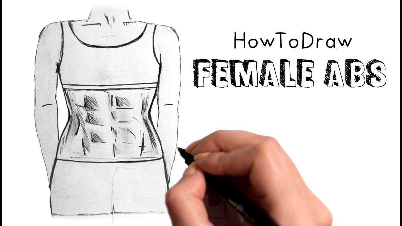 How To Draw Female Abs Firstly We Depict The Approximate Contours Of ...