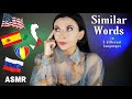 How similar are these 5 languages? *ASMR