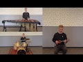 Twenty One Pilots - Ride Instrumental cover