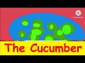 The Cucumber - Toyor Baby Enilgsh V2 Fast X16