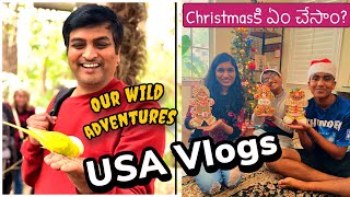 Wild adventures చూడటానికి వెళ్ళాం | Christmasకి ఏమిచేసాం? | USA Telugu Vlogs |Theo and Bros Vlogs
