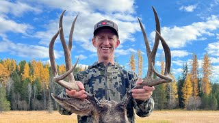 SOLO COLORADO Mule Deer Hunt - Stuck N The Rut 201