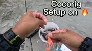 How to catch Bonito using cocorig