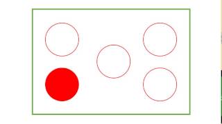 T3 Spatial Memory Task