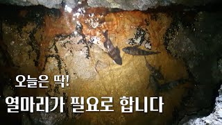 볼락 부탁 받았습니다 꼭 좀 잡아야합니다