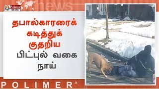 தபால்காரரைக் கடித்துக் குதறிய பிட்புல் வகை நாய் | #America | #DogAttack