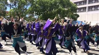 犬山踊芸祭2017 飃〜FREEDOM〜 からくり会場 2017.06.04