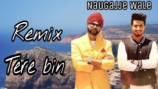 Tere Bin Kive Remix By Naugajje Wale  | Ramji Gulati Jannat Zubair & Mr. Faisu |New Hindi Songs 2019