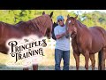 The Principles of Training Season 1 Episode 11: 