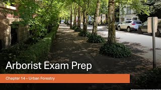 Arborist Exam Prep: Chapter 14 - Urban Forestry