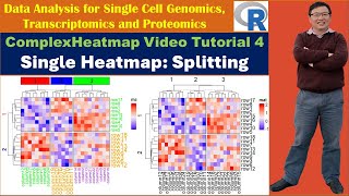 ComplexHeatmap Video Tutorial 4: Single Heatmap--Splitting