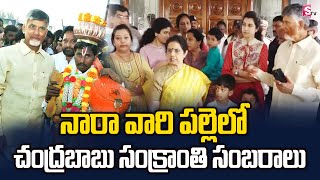 సంక్రాంతి సంబరాలు .. | CM Chandrababu Naidu Family Pongal Celebration at Naravaripalli | Chandrababu