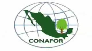 CONAFOR opening