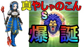 【ドラクエウォーク】ヒャド属性染めで やしゃのこんを最高に輝かす【アームライオン】