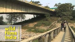 Mahatma Gandhi setu connects Patna and Hajipur