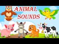 Animal sounds  | Kids & Nursery Rhymes | Sing Along Song | Animated