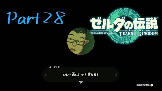 大妖精イベントにハズレなし-ゼルダの伝説 Tears of the Kingdom -part28-