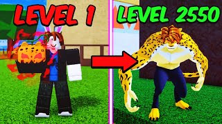 Noob To MAX LEVEL Leopard in Blox Fruits [FULL MOVIE]