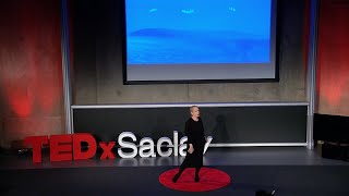 SOMETHING: inside the imagination | Ann Papoulis Adamovic | TEDxSaclay