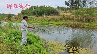 今天这个钓位鲫鱼连杆了，一个窝子就要爆护，鱼太多了…