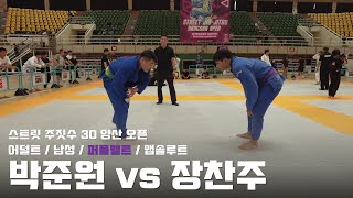 스트릿주짓수 30 양산 오픈 / 어덜트 남성 퍼플벨트 앱솔루트 / 박준원 vs 장찬주