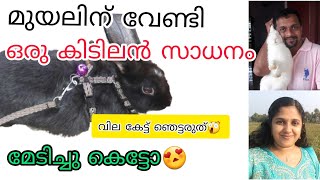 മുയലിന് വേണ്ടി ആമസോണിൽ നിന്ന് ഒരു കിടിലൻ സാധനം വാങ്ങി|#rabbitbelt#മുയൽ#rabbitfarm||