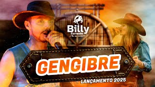 Billy Forrozão   GENGIBRE Lançamento 2025