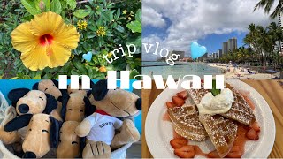 【trip vlog】2年越しのハワイ旅行が最高すぎた🧸🏖️(後編)