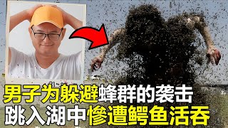 巴西30岁男子，为躲避“蜂群袭击”跳入湖中，惨遭食人鱼撕成碎片#top #世界之最 #动物 #動物 #災難 #腦洞大開 #灾难 #美國 #食人鱼