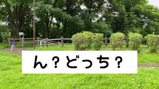 こうえんであそんだよ！ちょっと変わった滑り台⁉︎#3歳#2歳#男の子#公園#こども#喜ぶ#面白い