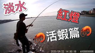 🐟2020/09/22🐟 (25) 🐟淡水捷運 紅燈 (下集）全遊動超磯前打 釣查 🦐活蝦🦐篇