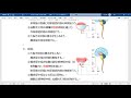 【泌尿器】生理学③　蓄尿で働くのは、3つだけ！橋排尿中枢、骨盤神経、排尿筋