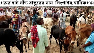 ঢাকার মধ্যে গ্রাম্য গরুর হাট|তৃতীয় পর্ব|ষাঁড় বাছুর স্বল্পমূল্যে কিনতে দেখুন|